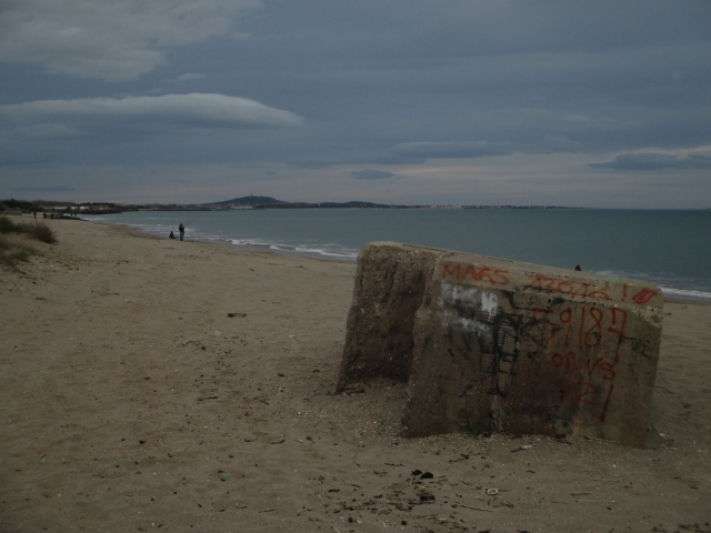 Lgn 041 Plage du petit mousse ( Vias plage 34 ) L5giw2